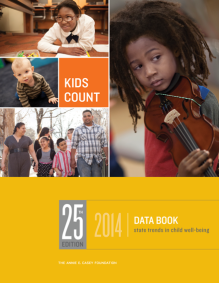 aecf-kidscountdatabookcover-2014